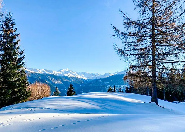 Chalet Les Bardeaux